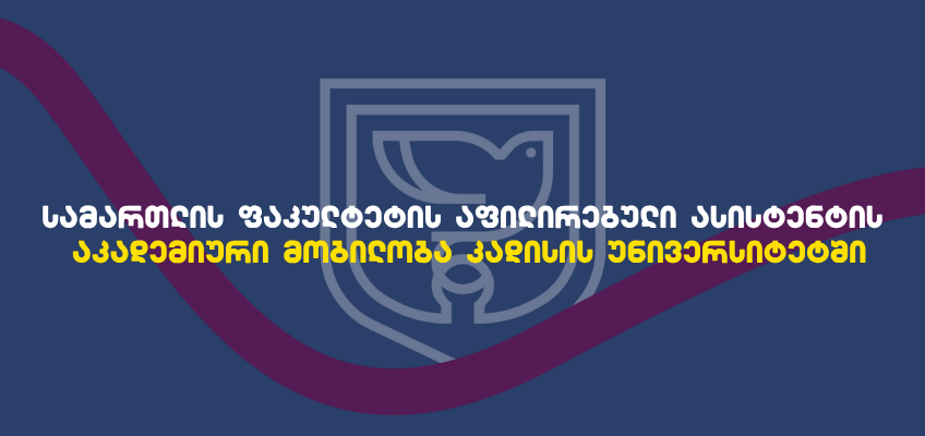 სამართლის ფაკულტეტის აფილირებული ასისტენტის აკადემიური მობილობა კადისის უნივერსიტეტში